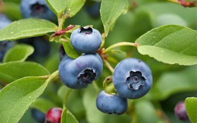 24 Amazing Blueberry Companion Plants to Boost Your Harvest