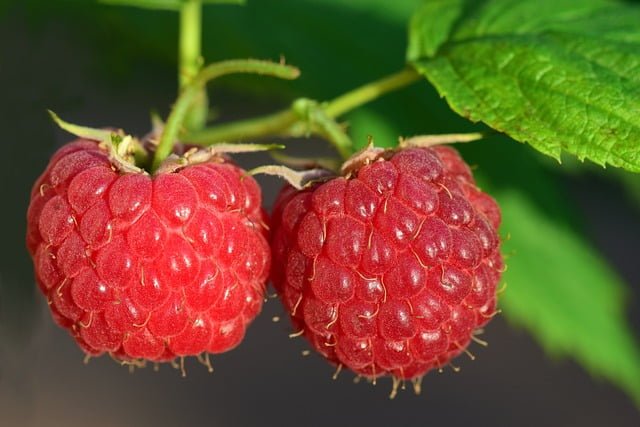 raspberries