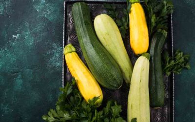 37 Zucchini Companion Plants For Maximizing Harvest