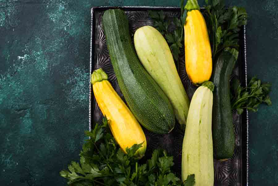 37 Zucchini Companion Plants For Boosting Harvest