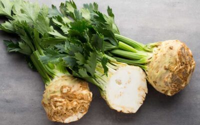 24 Celery Companion Plants For Maximizing Harvest
