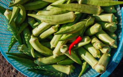 24 Okra Companion Plants for Your Best Crop Yet!