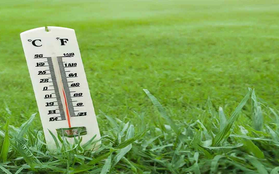 Grass Growth Temperatures