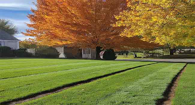 Grass Growth season