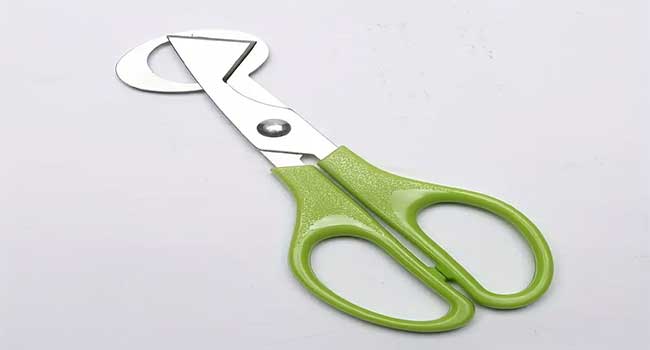 Quail Egg Scissor