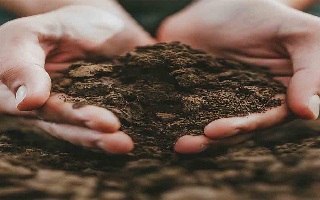 The Surprising Science of Soil Therapy for Mental Health