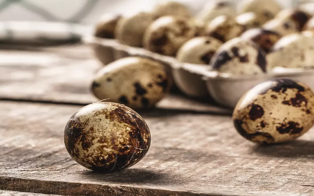 how to crack quail eggs