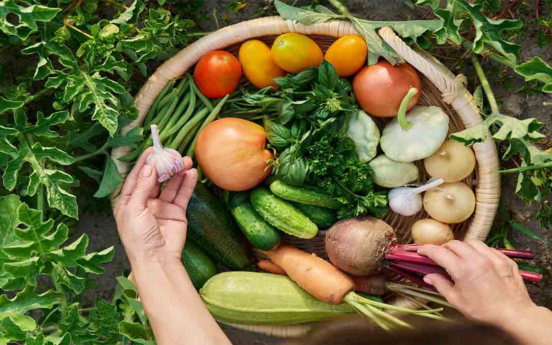 how do you use your senses to choose fresh vegetables