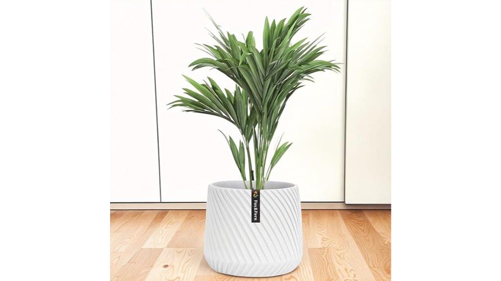 10 inch plant pot with drainage