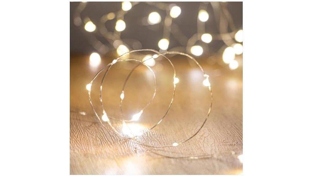 10ft led fairy string lights