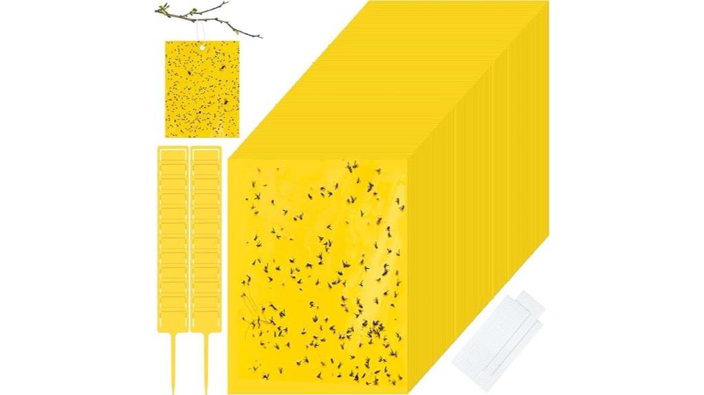 200 sticky gnat traps