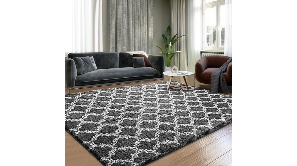 5x7 rug for living