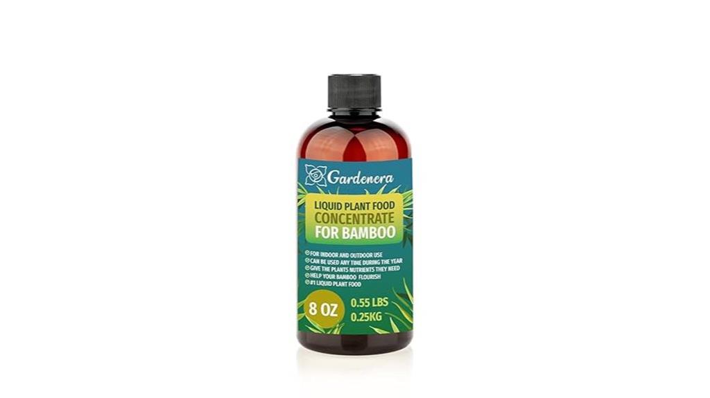 bamboo plant growth superfood