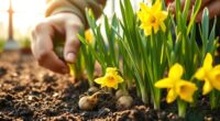 bring bulbs indoors winter