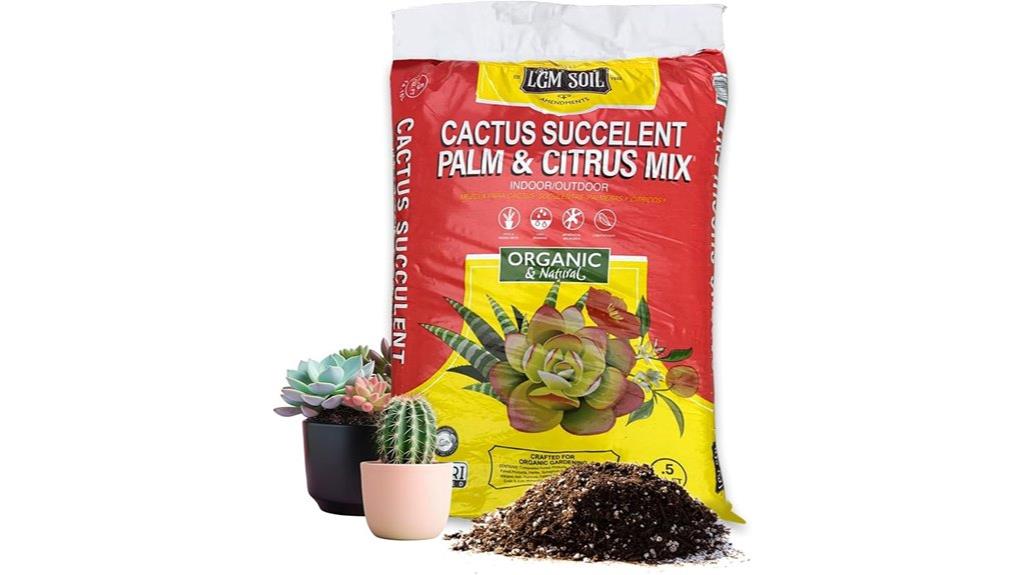 cactus succulent potting mix