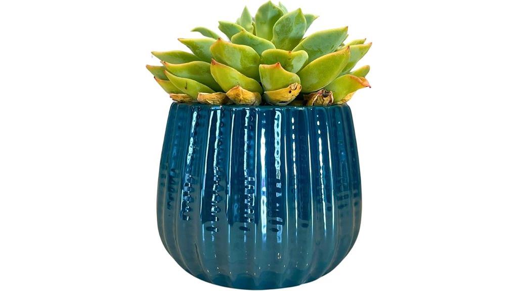 ceramic flower planter decor