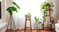 chic indoor plant stands