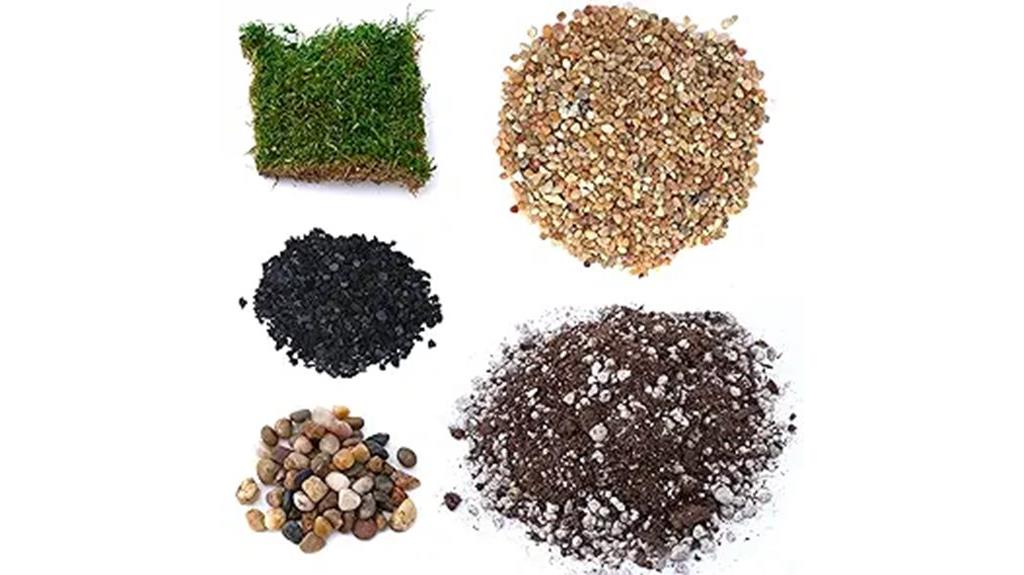 complete succulent planting kit