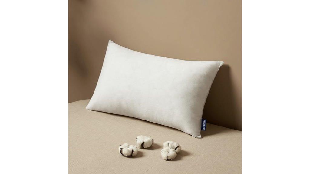decorative 12x20 pillow insert