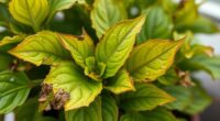 detecting nutrient deficiency signs