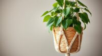 diy macrame plant hanger