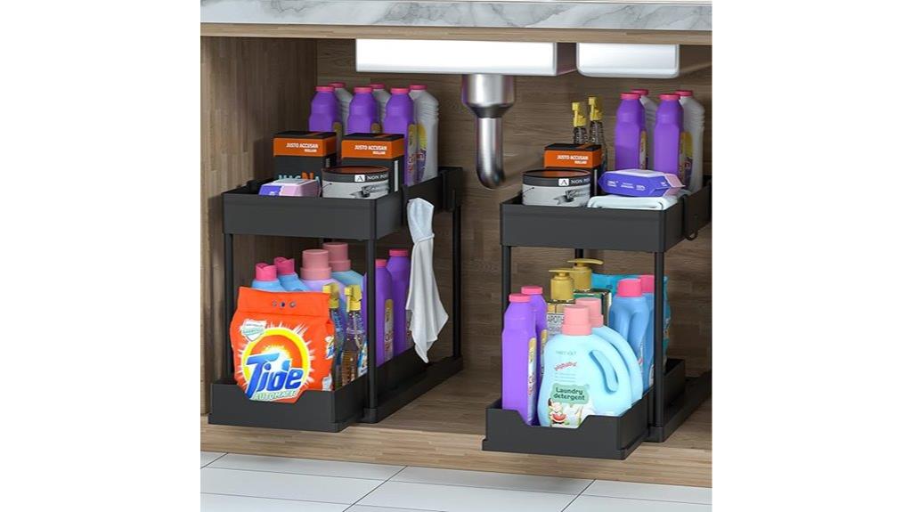dual tier under sink storage