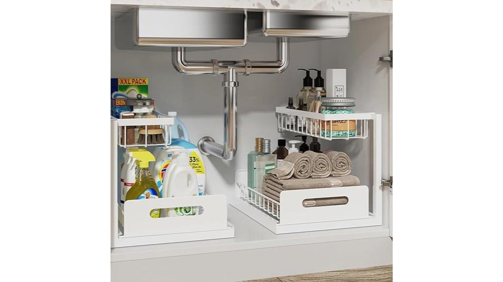 dual under sink storage