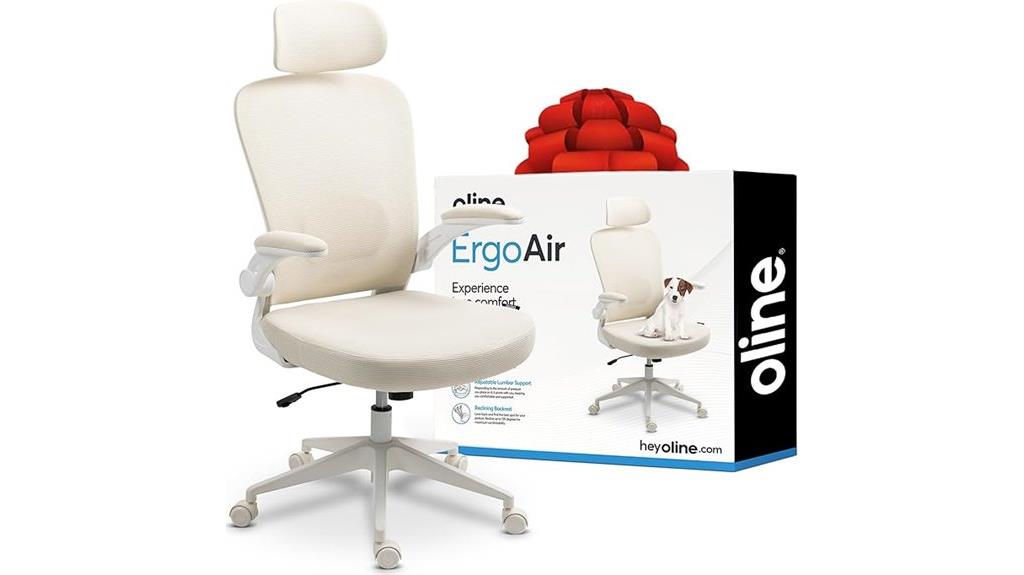 ergonomic mesh lumbar chair
