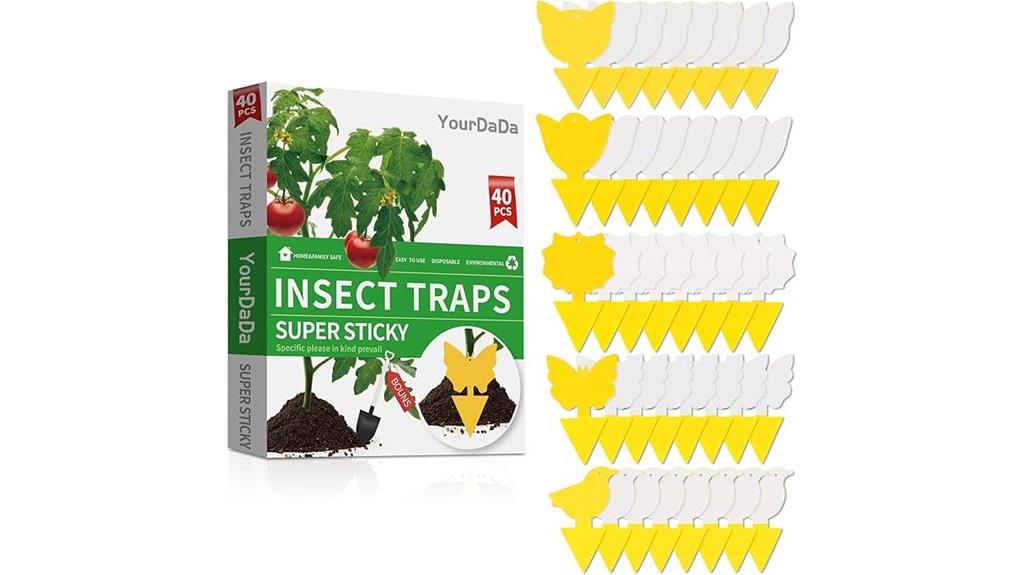 forty sticky insect traps
