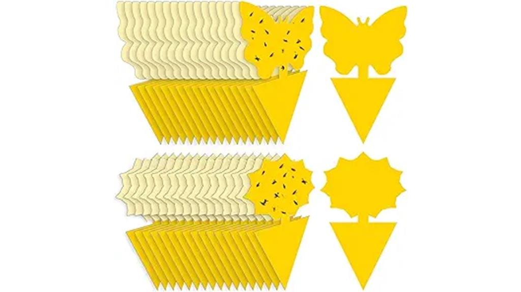 fruit fly and gnat sticky traps