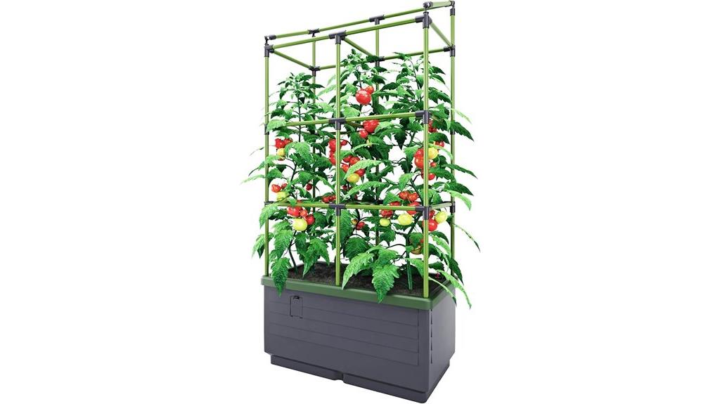 garden bed with trellis