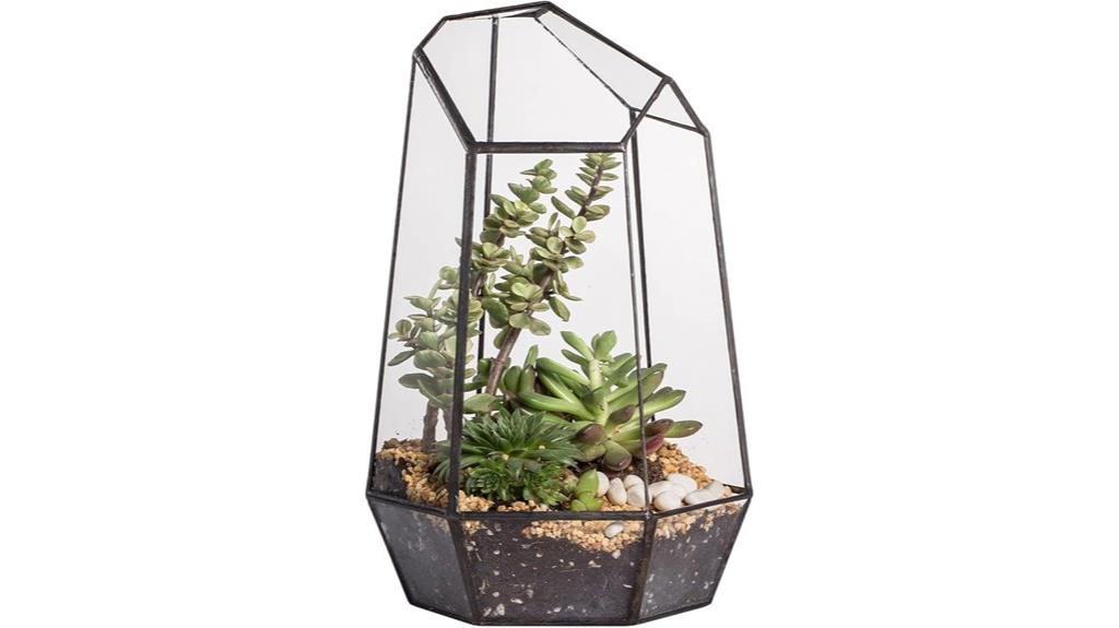 geometric glass succulent planter