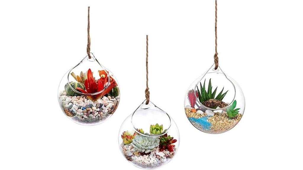 glass globe air plant set