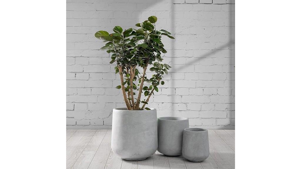 gray round concrete planter