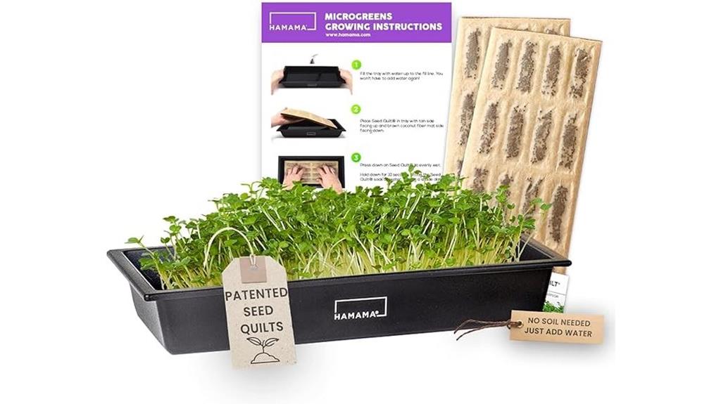 home microgreens growing kit