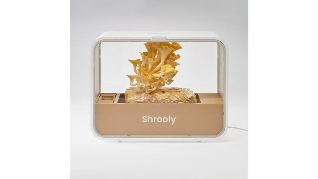 indoor mushroom cultivation kit