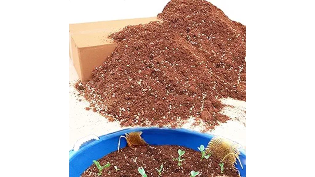 indoor plant soil mix