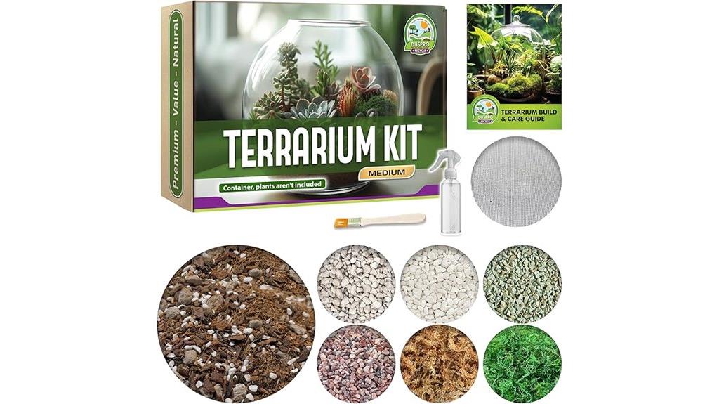 kids air plant recycle kit