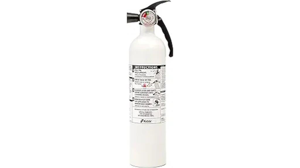 kitchen grease fire extinguisher