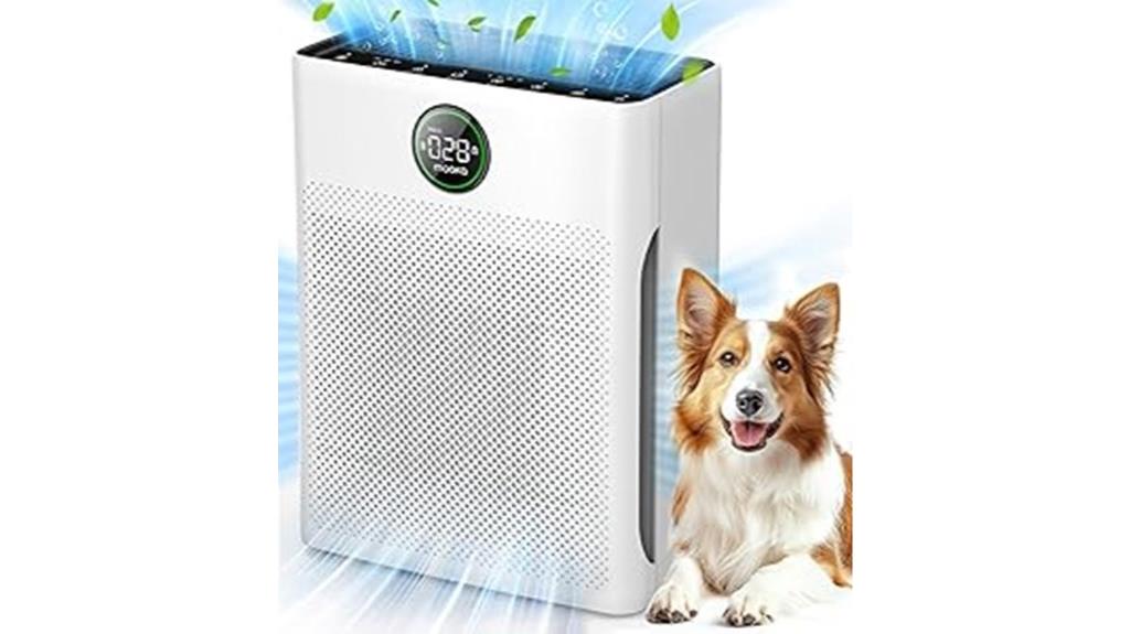 large area air purifier