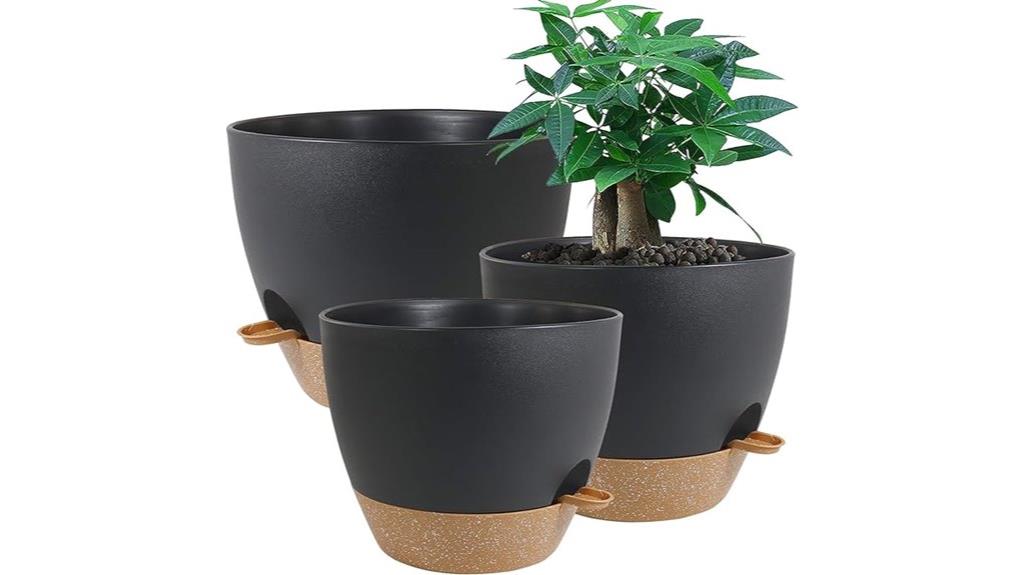 large black brown pots