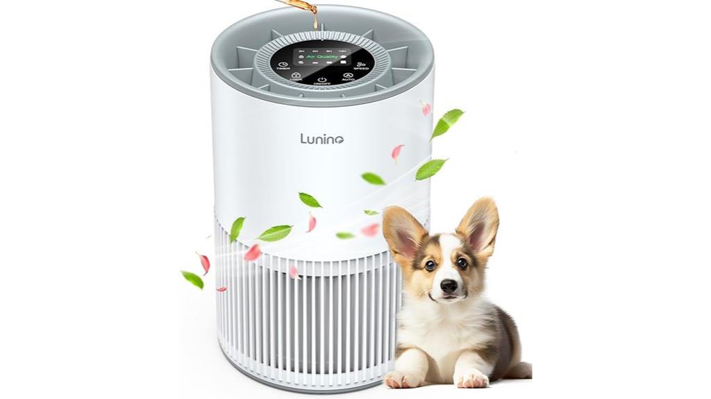 large room hepa purifier