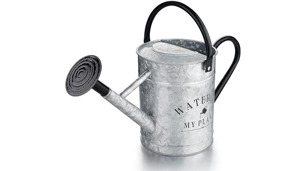 metal indoor outdoor watering can