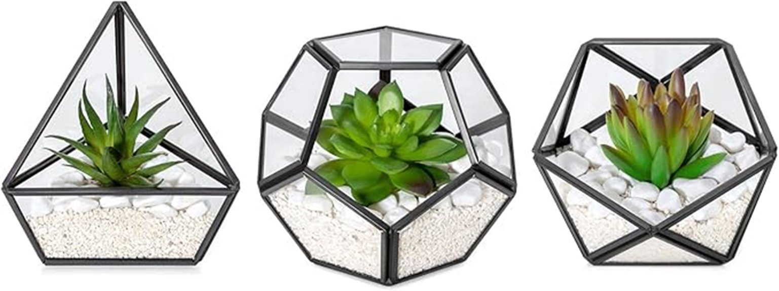 mini glass succulent trio