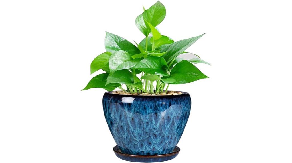 modern 6 inch ceramic succulent pot