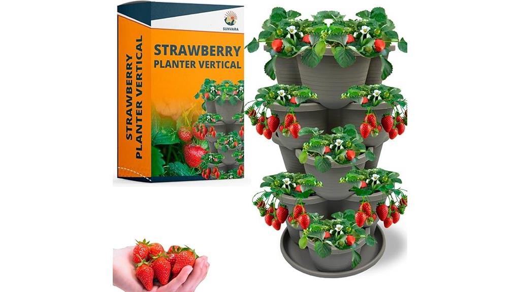 multi tiered strawberry garden