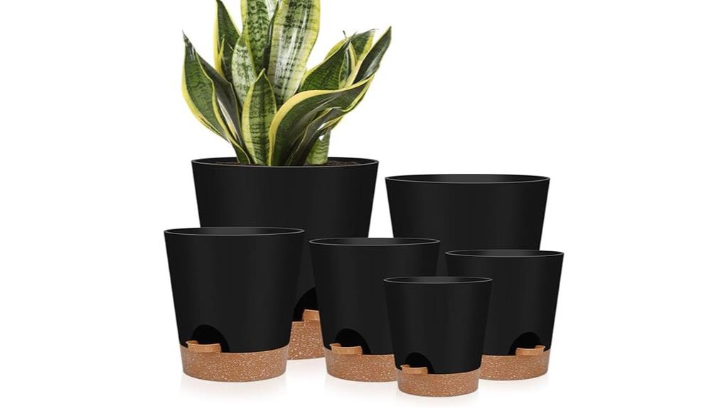 multiple indoor plant pots