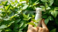 natural indoor pest control