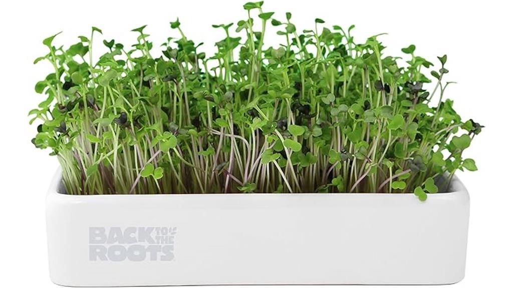 organic microgreens grow kit