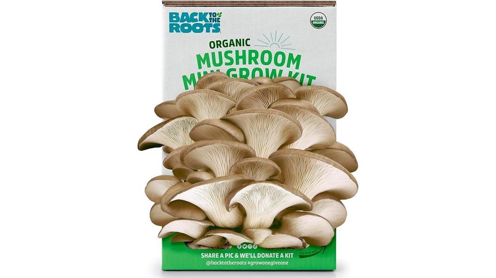 organic mushroom growing kit